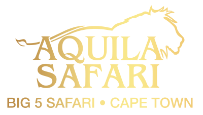 Aquila Safari